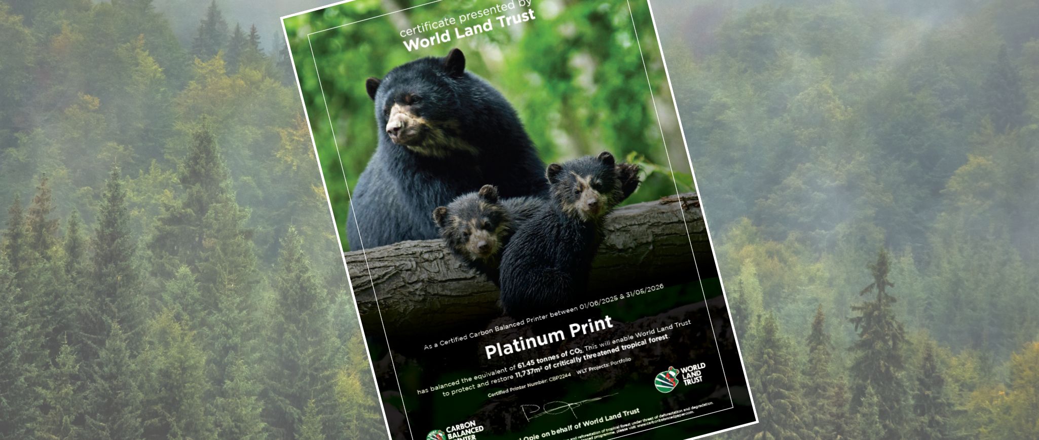 Carbon Balanced Printer