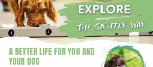 Sniffly Dogs